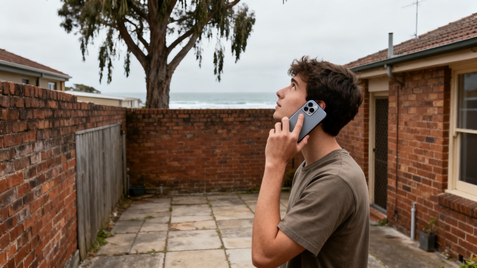 A young man on the phone in a brick courtyard, looking up at a tall gum in the next yard